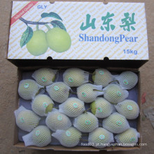 Verde Shandong Pêra preço por atacado